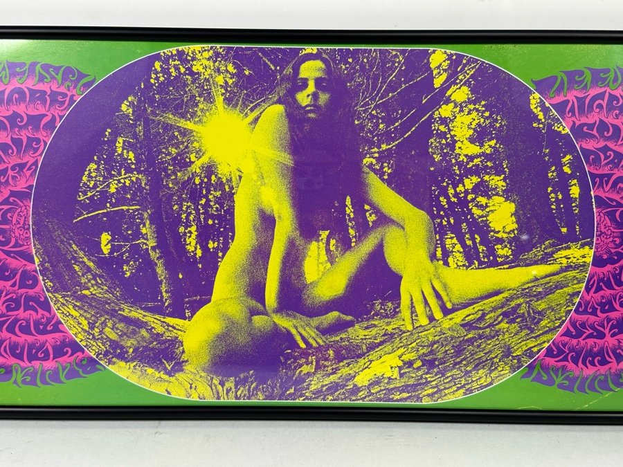 Country Joe & The Fish, Lee Michaels, Flamin' Groovies, Mad River, Mount Rushmore, Blue Cheer Vintage 1967 Concert Poster Avalon Ballroom Bob Schnepf / Thomas Weir Family Dog FD-99-1 Framed 28 X 11 [Photo 5]