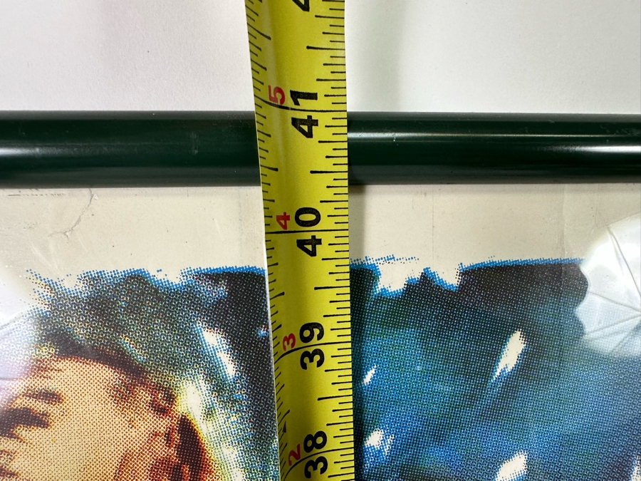 Large Vintage Ride The Wild Surf Movie Poster Framed, An Original Surf Movie Poster 28 X 41 [Photo 20]