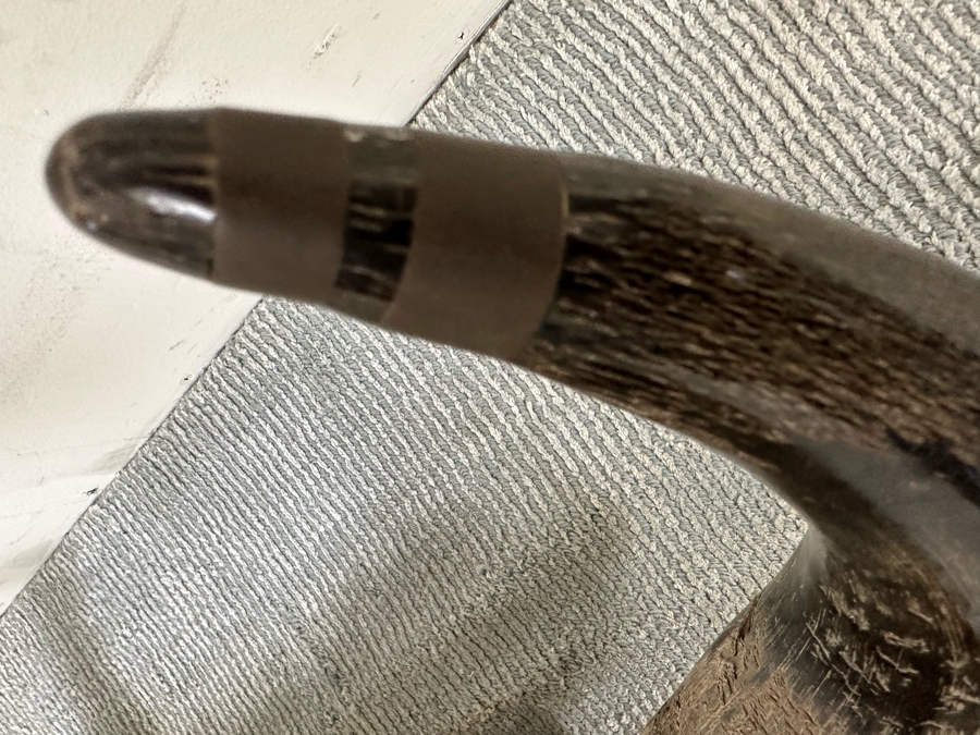 Last Minute Add - Artist Embelished Buffalo Bison Skull With Horns 25W X 24H [Photo 9]