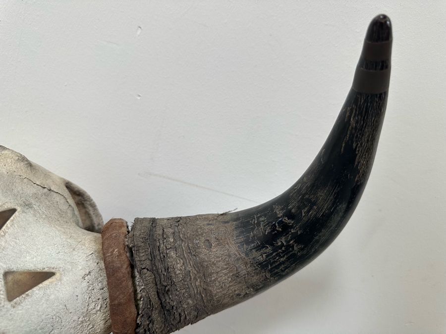 Last Minute Add - Artist Embelished Buffalo Bison Skull With Horns 25W X 24H [Photo 4]