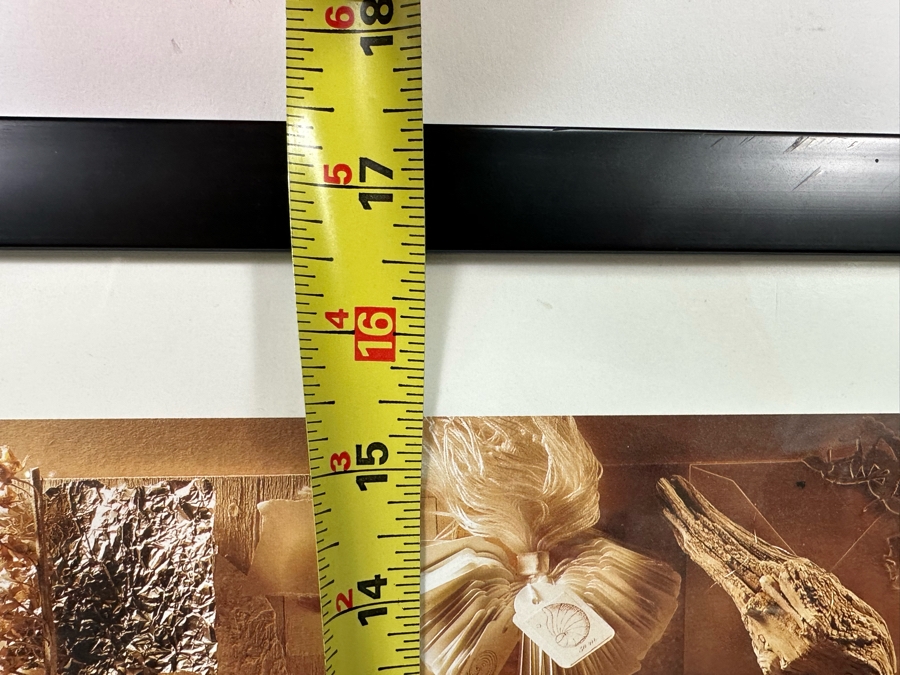 Autographed Acoustic Alchemy Natural Elements Rock Poster Framed 13.5 X 17.5 [Photo 10]