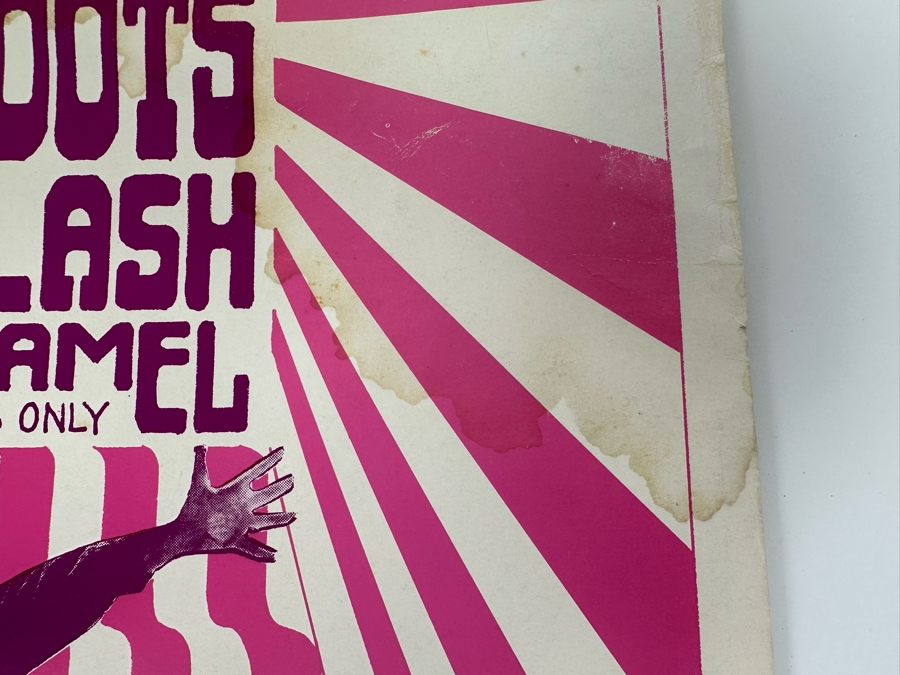 Grass Roots, Daily Flash, Sopwith Camel 1966 Concert Poster Artist Wes Wilson Avalon Ballroom Family Dog FD-15-2 14 X 20 [Photo 15]