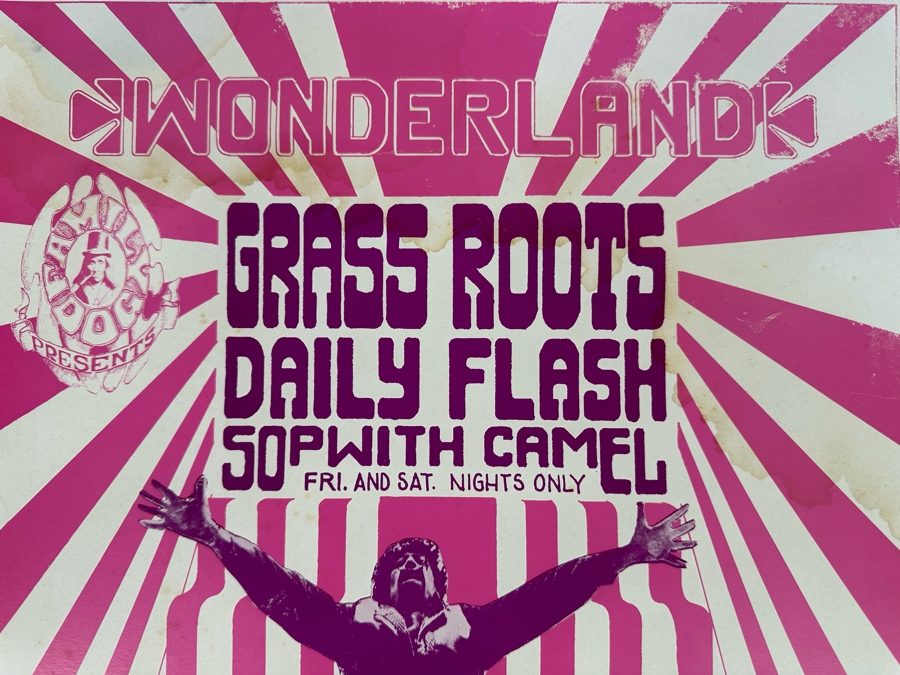 Grass Roots, Daily Flash, Sopwith Camel 1966 Concert Poster Artist Wes Wilson Avalon Ballroom Family Dog FD-15-2 14 X 20 [Photo 5]