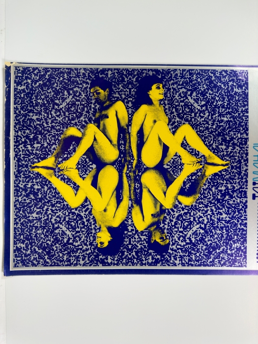 Taj Mahal, Dave Van Ronk, Family Tree, AB Shky Blues Band, Creedence Clearwater Revival 1968 Concert Poster Type 2 Blue Artist Paul Kagan & David Smith Avalon Ballroom Family Dog FD-121-1 13 X 22 [Photo 4]