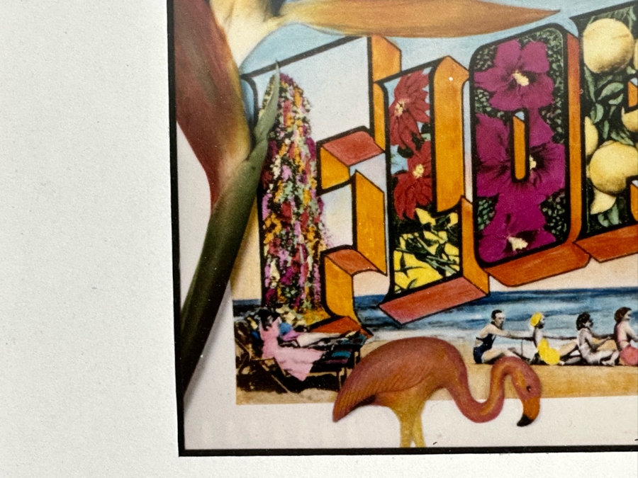 Jan Kaulins Hand Signed Greetings From Florida Color Photograph Of A Hand-Painted Black And White Photo 6.5 X 4.5 Framed 13 X 11 [Photo 7]