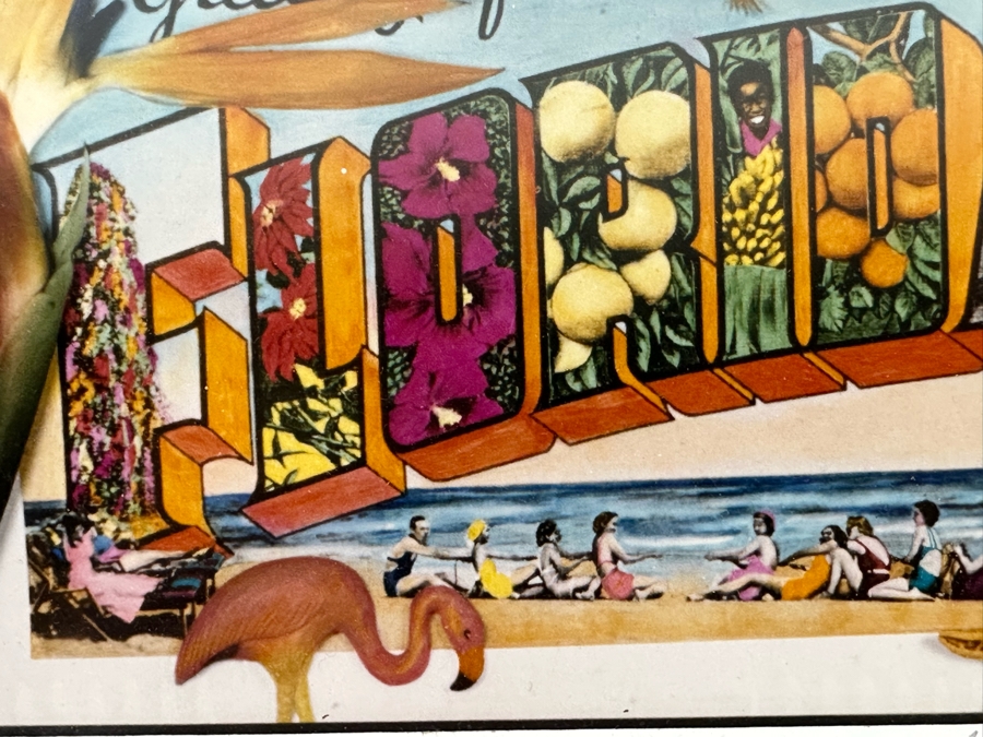 Jan Kaulins Hand Signed Greetings From Florida Color Photograph Of A Hand-Painted Black And White Photo 6.5 X 4.5 Framed 13 X 11 [Photo 6]