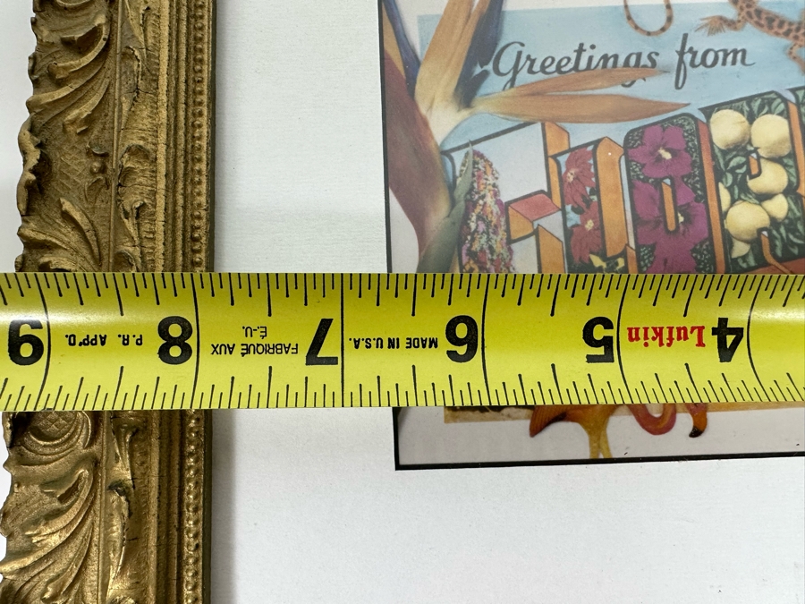 Jan Kaulins Hand Signed Greetings From Florida Color Photograph Of A Hand-Painted Black And White Photo 6.5 X 4.5 Framed 13 X 11 [Photo 11]