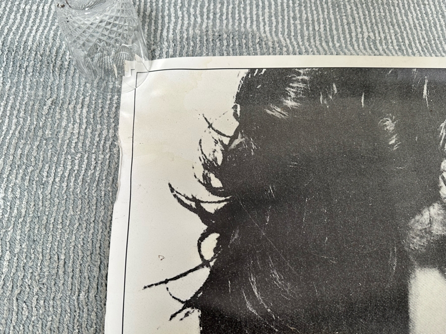 The Doors Wea Records Warner Communications Co LP / Cassette / CD Albums Promotional Rock Poster 38 X 53 [Photo 11]