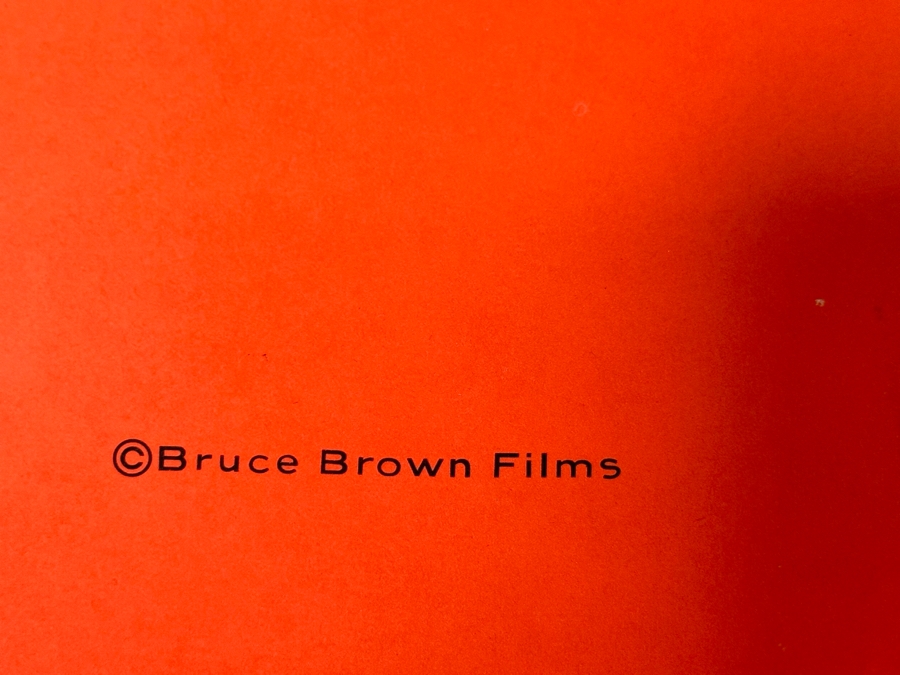 The Endless Summer Movie Poster 28.5 X 39.5 [Photo 6]