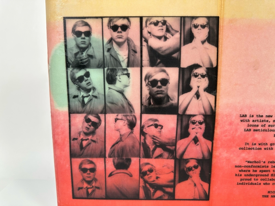 Andy Warhol 'I Came Out Of The Womb On A Surfboard' Billabong LAB Artist Collaboration 1st In Series Surfboard Section Promotion 17W X 2.5D X 13H [Photo 9]