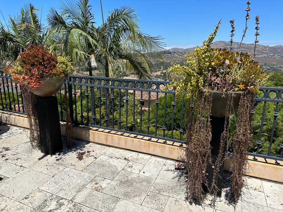 Pair Of Free Standing Potted Succulent Plants 1'5'W X 3'6'H [Photo 4]