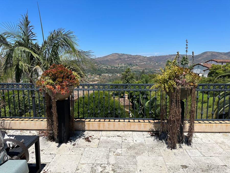 Pair Of Free Standing Potted Succulent Plants 1'5'W X 3'6'H [Photo 2]