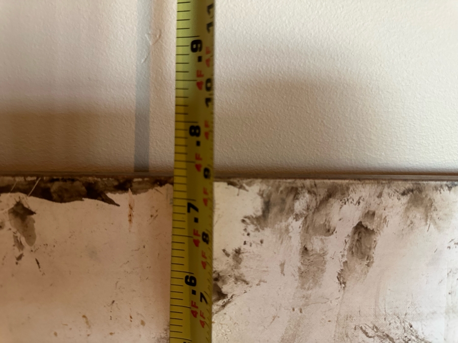 Alex Rovandi (b. 1943, Italian) Original Painting On Canvas Titled 'Blown Away' 3' X 4' Framed 3'9' X 4'9' [CR] [Photo 17]