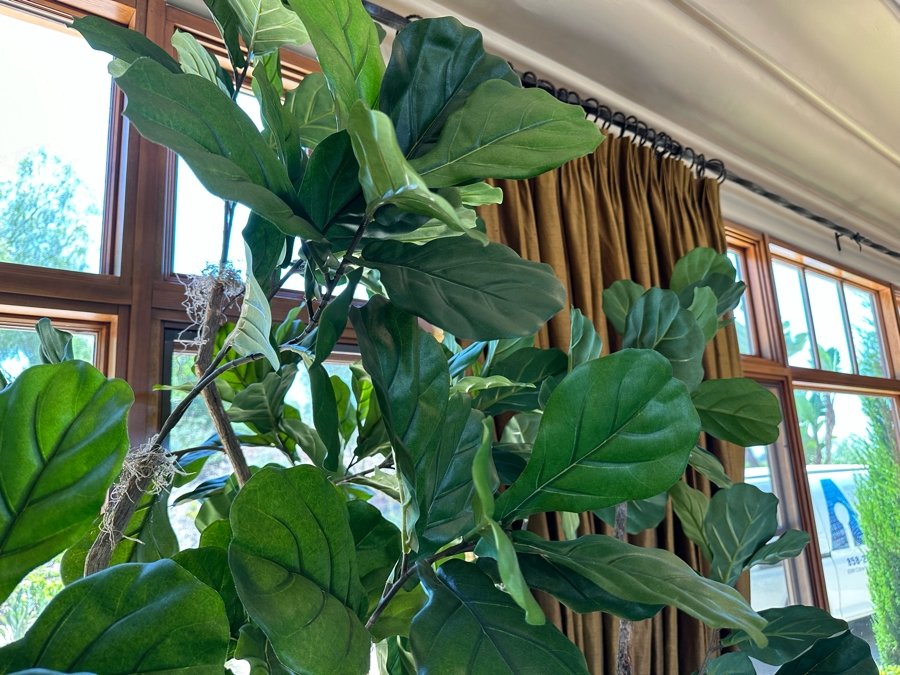 Large Artificial Indoor Plant 2'W X 9'9'H [CR] [Photo 5]