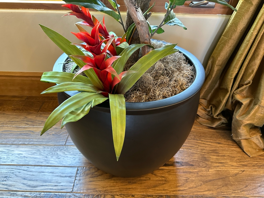 Large Artificial Indoor Plant 2'W X 9'9'H [CR] [Photo 3]