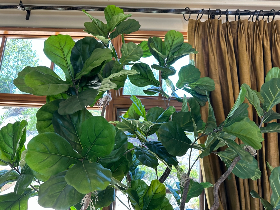 Large Artificial Indoor Plant 2'W X 9'9'H [CR] [Photo 6]