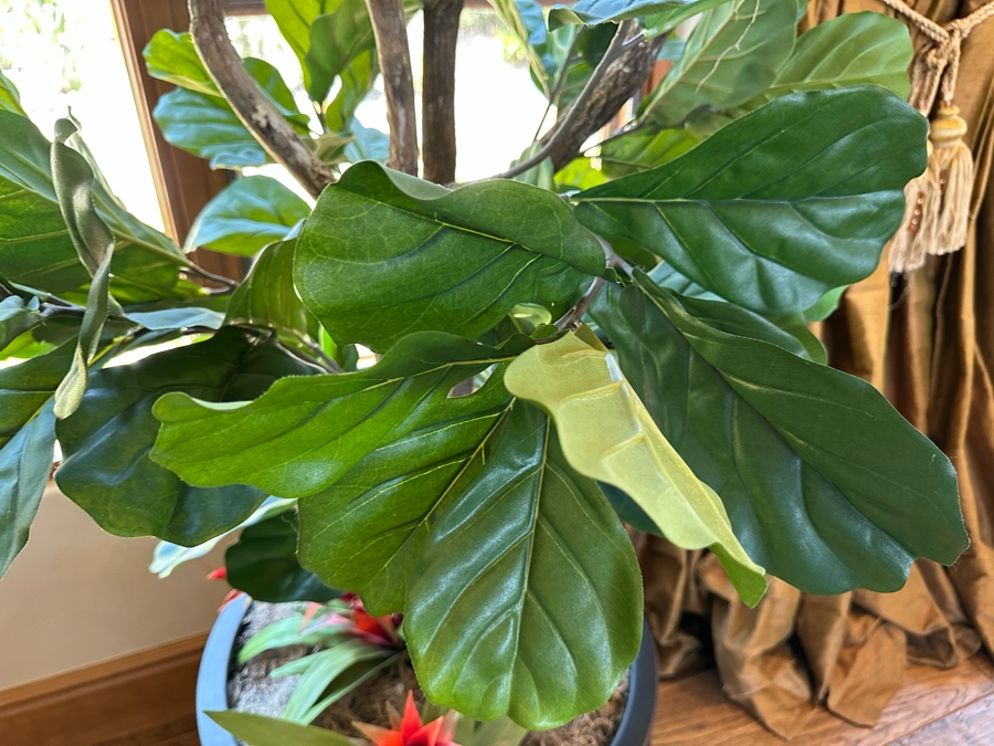 Large Artificial Indoor Plant 2'W X 9'9'H [CR] [Photo 4]