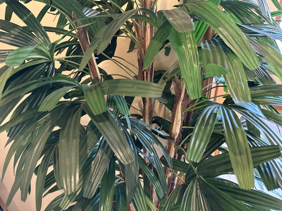 Indoor Artificial Bamboo Tree 1'7'W X 6'6'H [CR] [Photo 3]