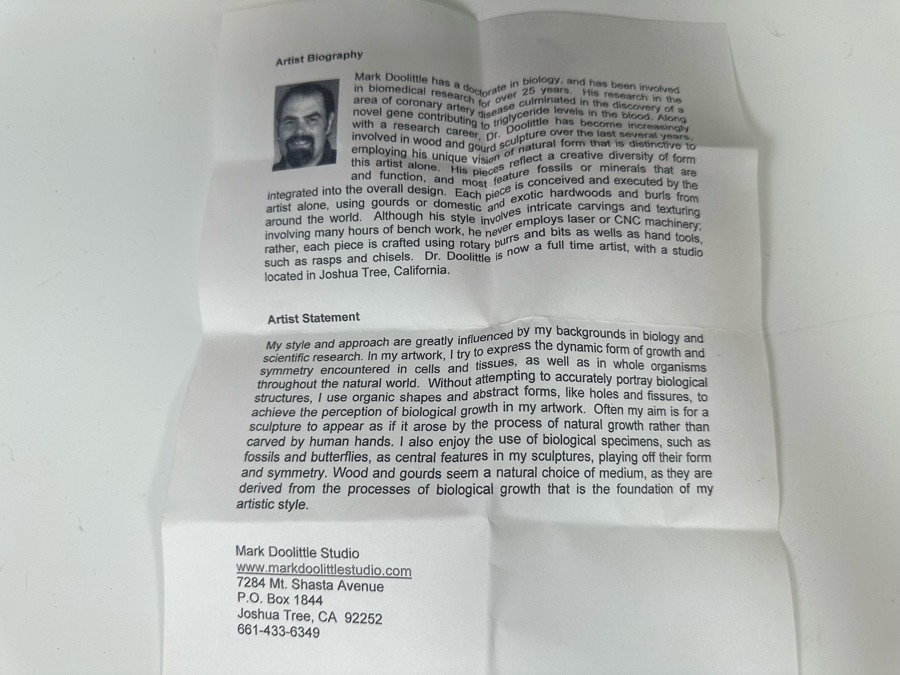 Mark Doolittle Studio Signed Dragonfly Gourd Sculpture 12W X 6D X 14H [Photo 20]