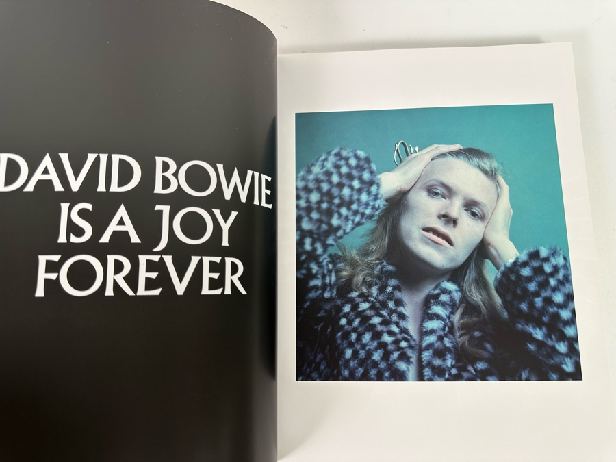 David Bowie Is The Subject Book [Photo 7]