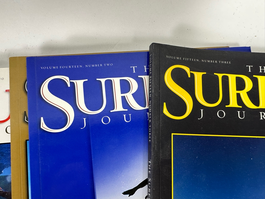 The Surfer's Journal Volume Two, Number Three - Volume Nineteen, Number Four [Photo 6]