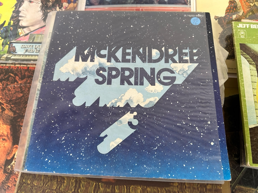 Collection Of Vinyl Records Albums - See Photos [Photo 27]