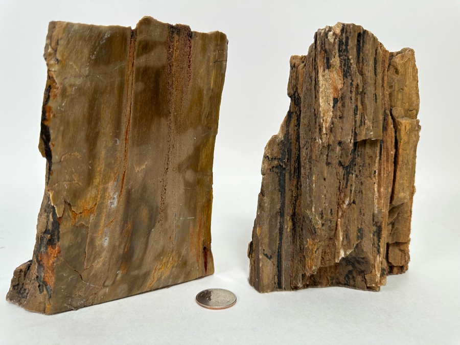 Pair Of Petrified Wood Bookends 6H [CR] [Photo 3]