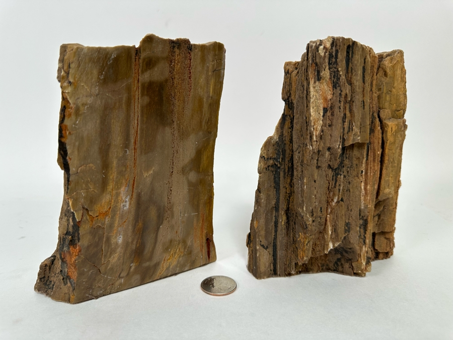 Pair Of Petrified Wood Bookends 6H [CR] [Photo 2]