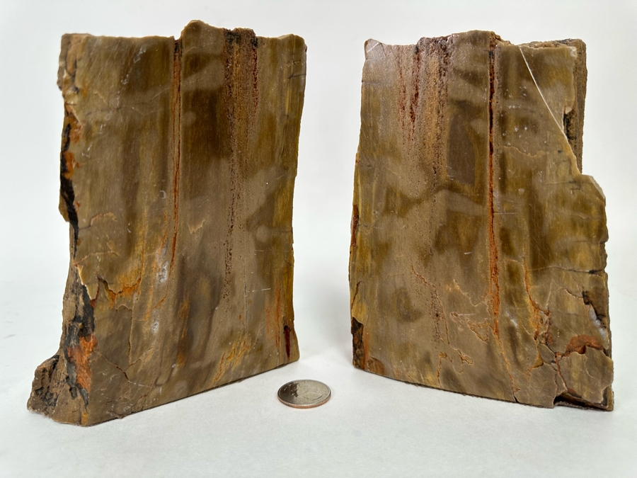 Pair Of Petrified Wood Bookends 6H [CR] [Photo 4]