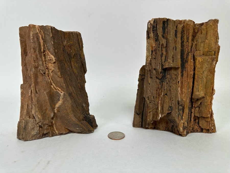 Pair Of Petrified Wood Bookends 6H [CR] [Photo 6]