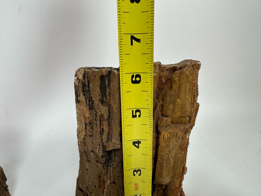 Pair Of Petrified Wood Bookends 6H [CR] [Photo 7]