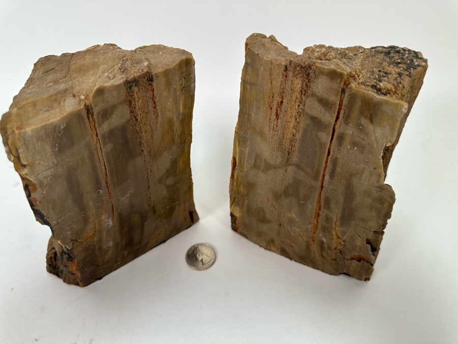 Pair Of Petrified Wood Bookends 6H [CR] [Photo 5]