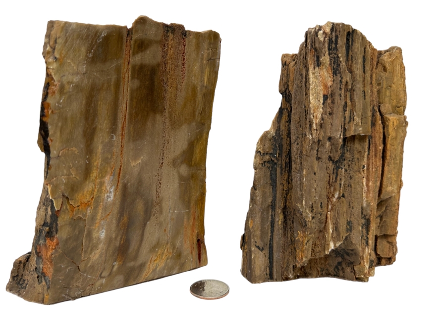 Pair Of Petrified Wood Bookends 6H [CR] [Photo 1]