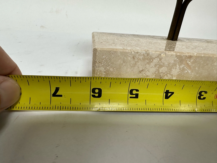 Fossilized Nautilus Shell With Display Stand 6W X 9H [CR] [Photo 11]