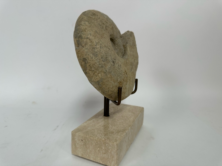 Fossilized Nautilus Shell With Display Stand 6W X 9H [CR] [Photo 6]