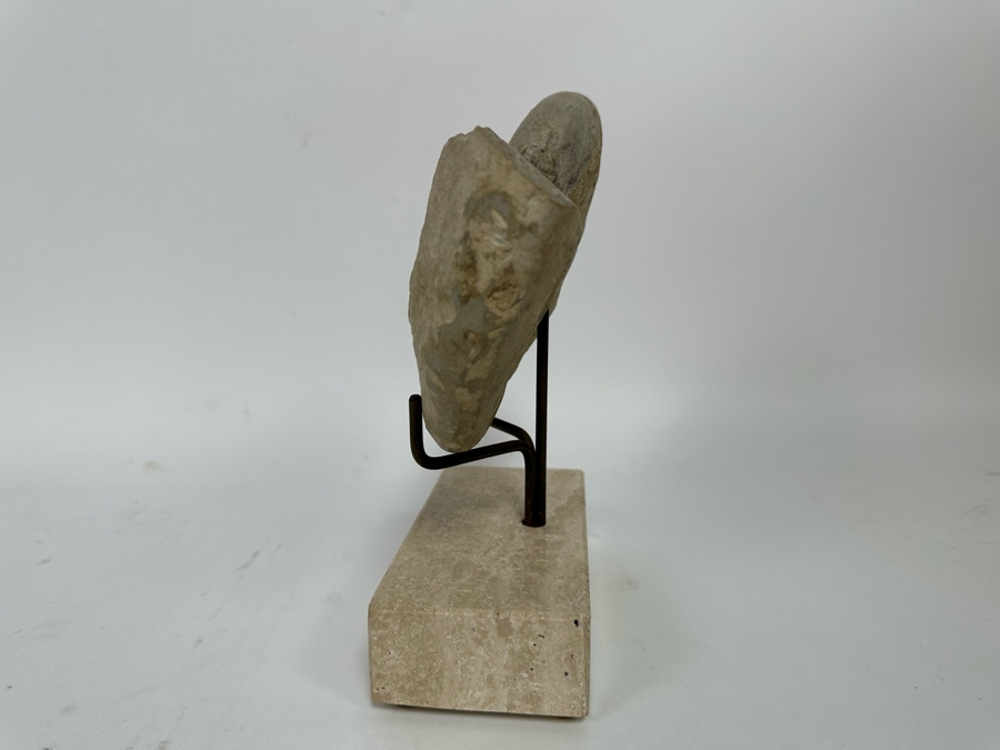 Fossilized Nautilus Shell With Display Stand 6W X 9H [CR] [Photo 9]