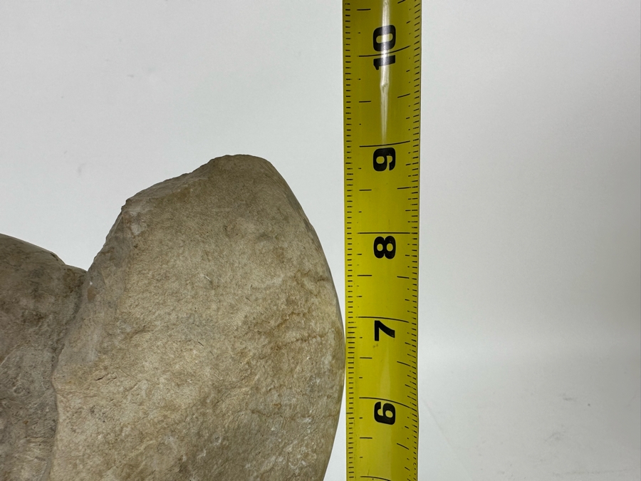 Fossilized Nautilus Shell With Display Stand 6W X 9H [CR] [Photo 12]