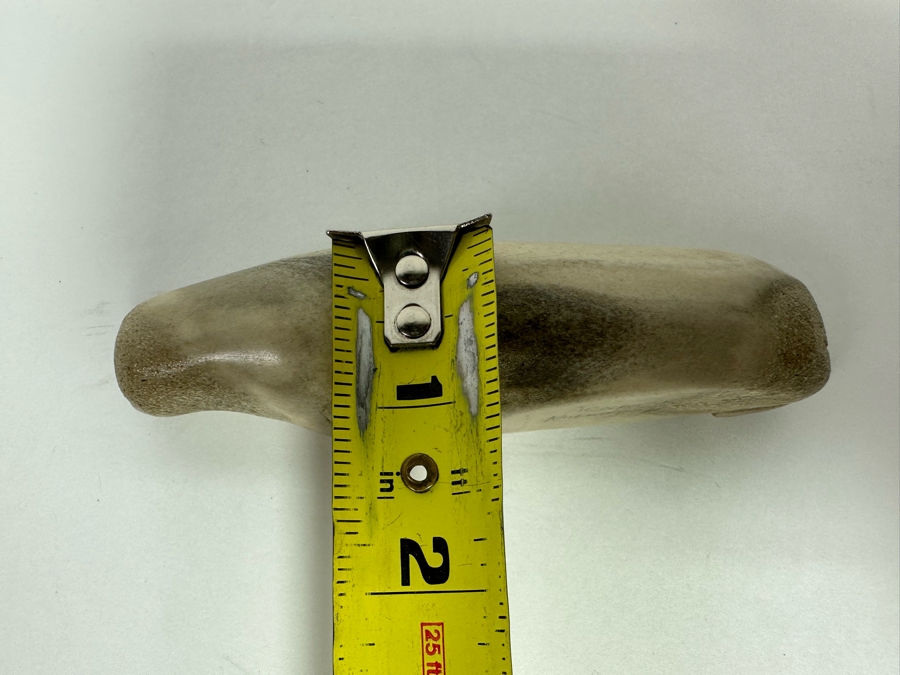 Signed Inuit Carved Bone Seal Acne Nullut 5W [CA] [Photo 14]