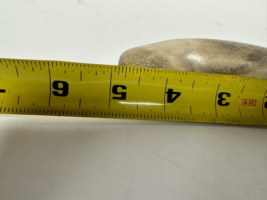 Signed Inuit Carved Bone Seal Acne Nullut 5W [CA] [Photo 12]