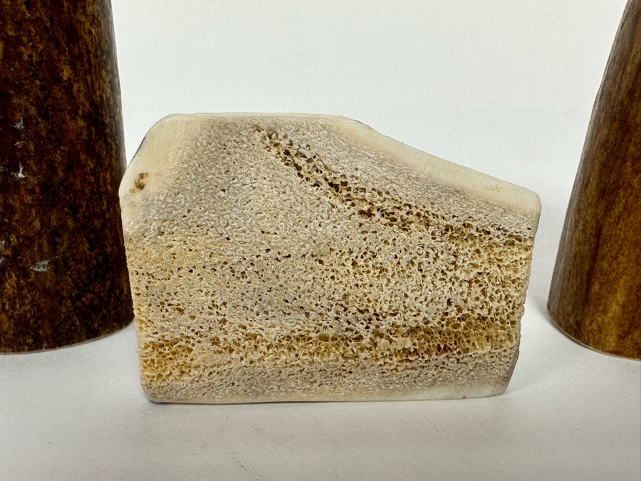 Antler Salt & Pepper Shakers 2.5H And Toothpick Holder [CA] [Photo 8]