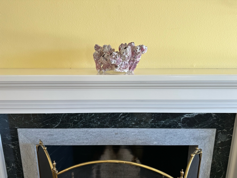 Organic Coral Sculpture 11W X 9D X 6H [Photo 3]