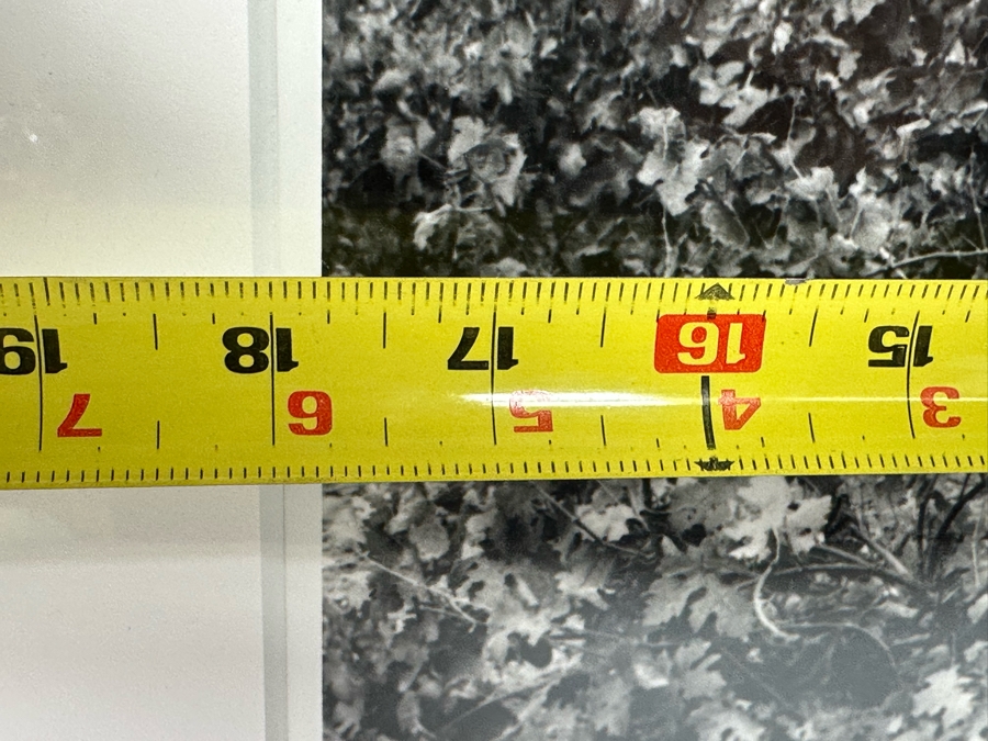 New York Times Photo Archive Print Of California Grape Field In 1930, Women Show Off The Harvest In A Winery In Burbank CA 18 X 14 Framed 25.5 X 21.5 [Photo 8]