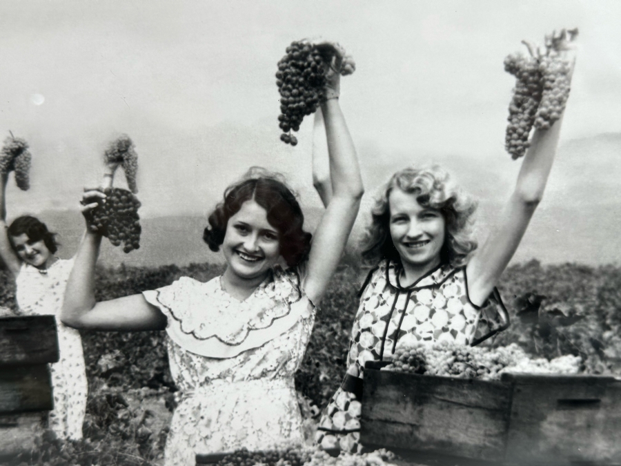 New York Times Photo Archive Print Of California Grape Field In 1930, Women Show Off The Harvest In A Winery In Burbank CA 18 X 14 Framed 25.5 X 21.5 [Photo 4]