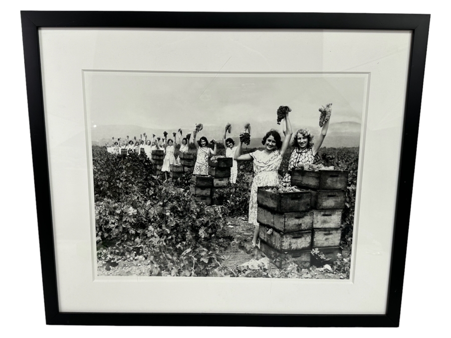 New York Times Photo Archive Print Of California Grape Field In 1930, Women Show Off The Harvest In A Winery In Burbank CA 18 X 14 Framed 25.5 X 21.5 [Photo 2]
