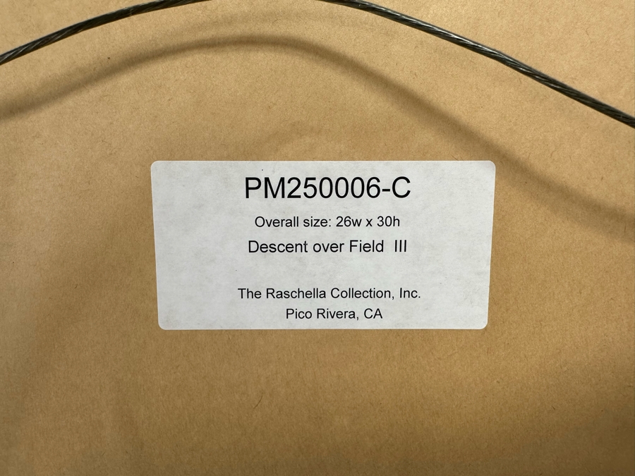 Framed Print Titled 'The Descent Over Field III' By The Raschella Collection Pico Rivera, CA Framed 25 X 29.5 [Photo 13]