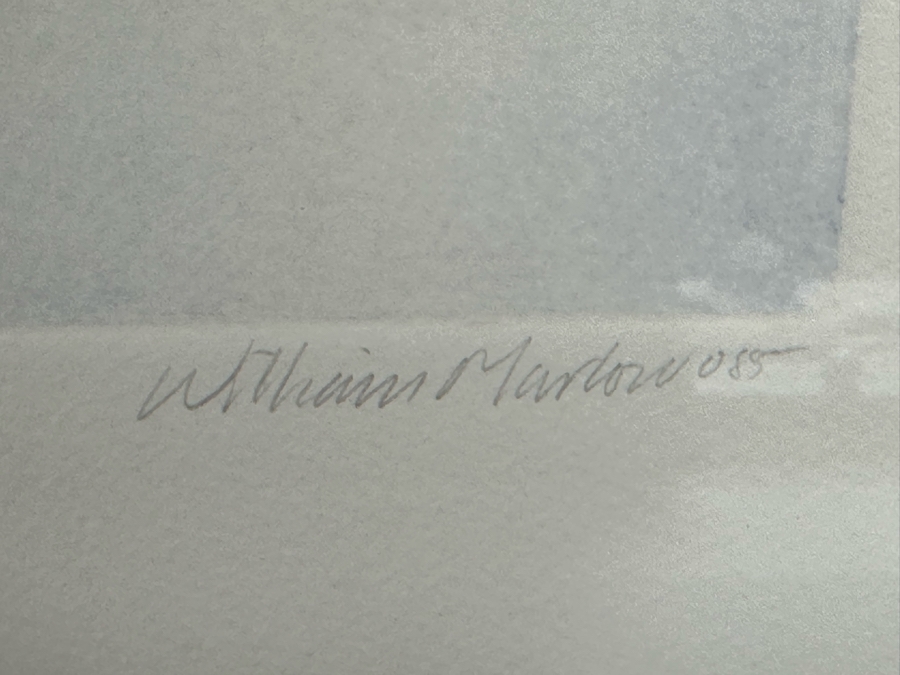 William Marlow Signed Limited Edition Print Titled 'Living Garden' Numbered 261 Of 300 13 X 18 Framed 27 X 34.5 [Photo 9]