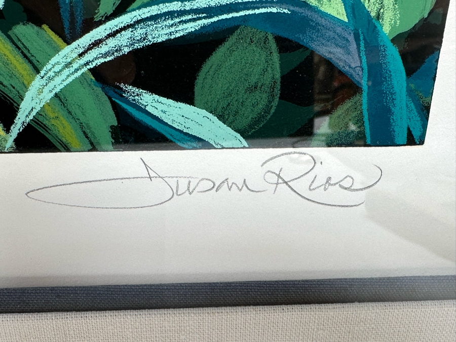 Susan Rios Signed Limited Edition Print Numbered 84 Of 295 32.5 X 26.5 Framed 44.5 X 38.5 [Photo 8]