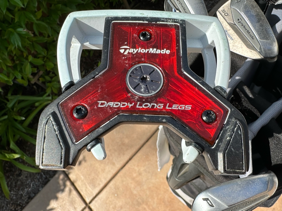 Taylor Made Golf Club Set With Golf Bag And Daddy Long Legs Putter [CR] [Photo 9]