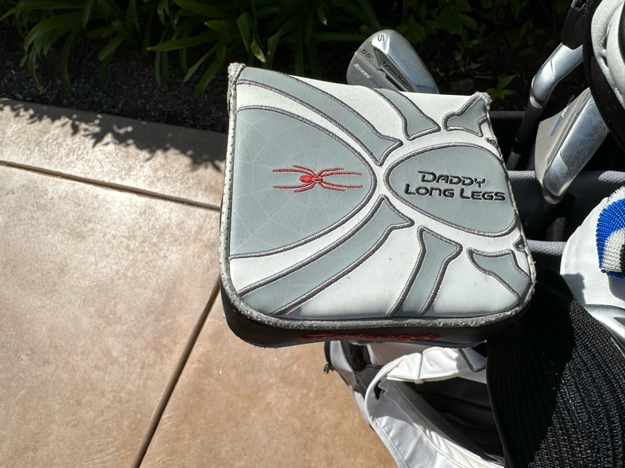 Taylor Made Golf Club Set With Golf Bag And Daddy Long Legs Putter [CR] [Photo 4]