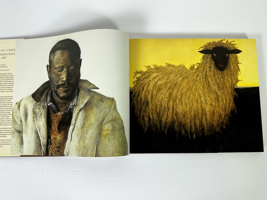 First Edition Hardcover Book An American Vision Three Generations Of Wyeth Art 1987 [Photo 4]